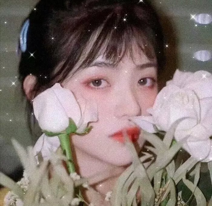 小乔之歌